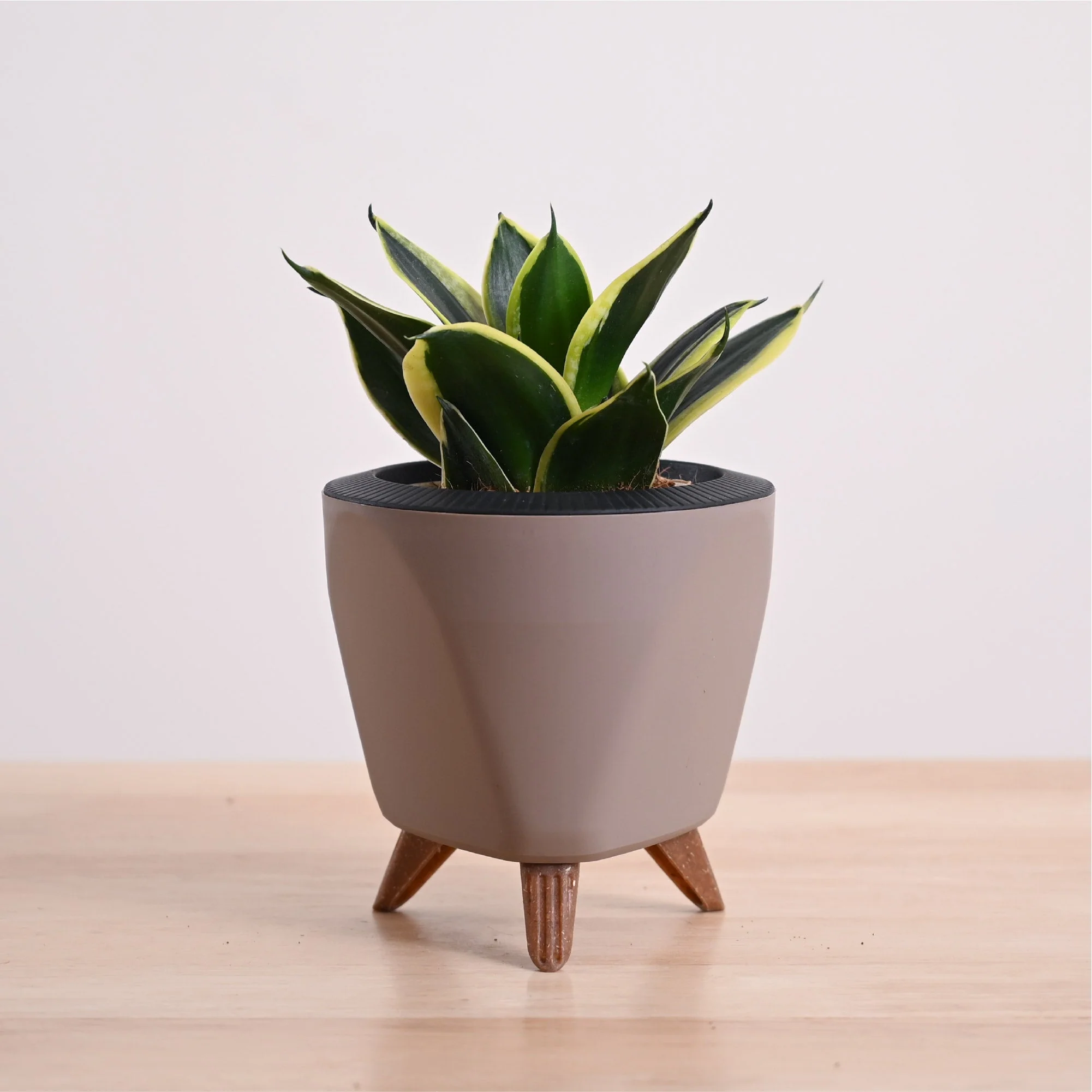 Product image 69