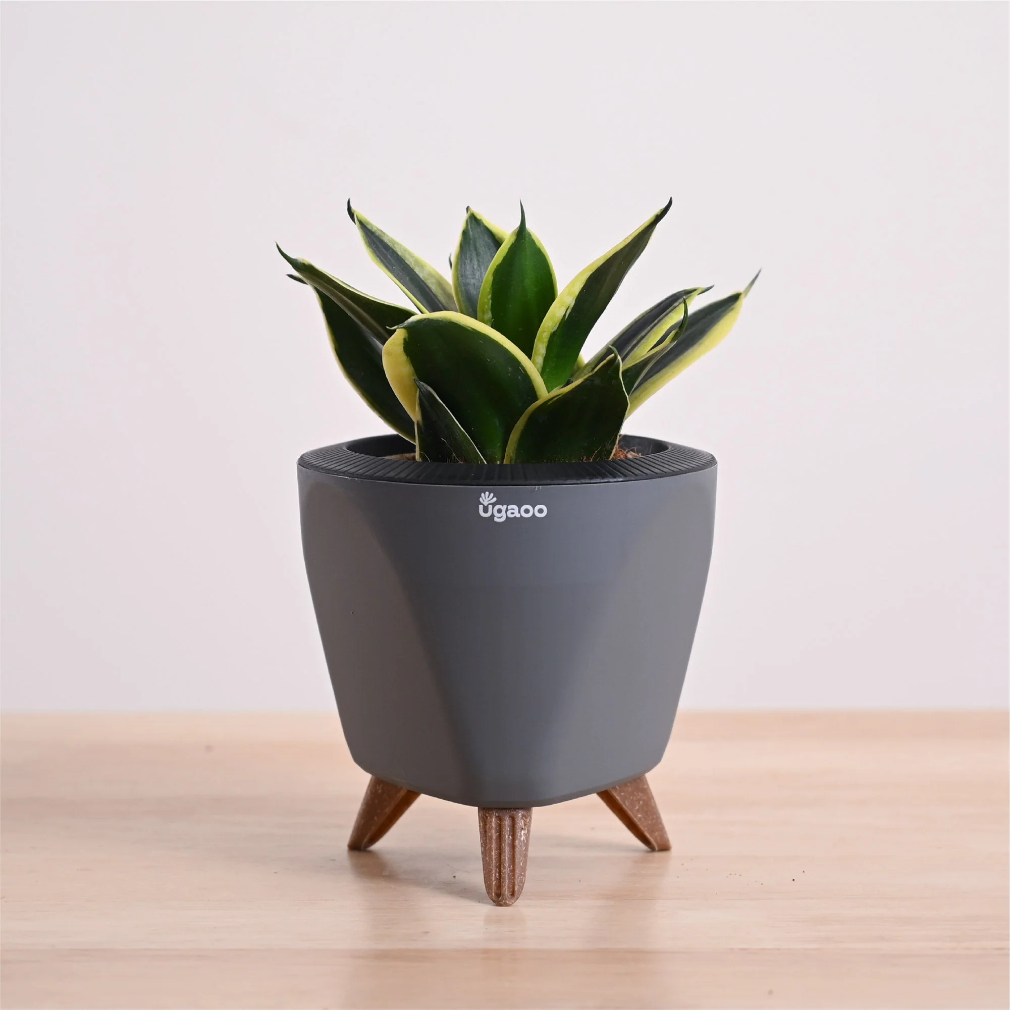 Product image 75