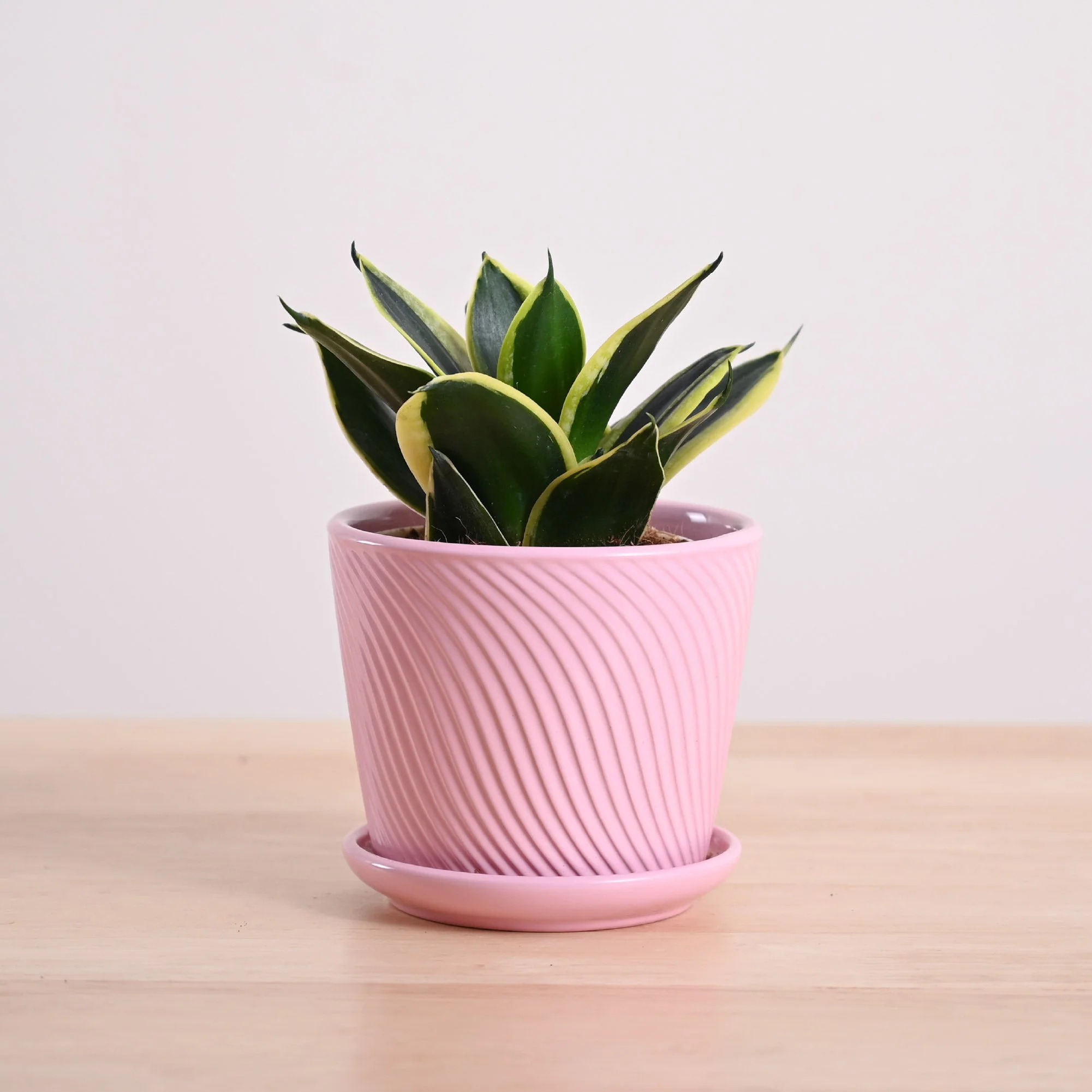 Product image 87