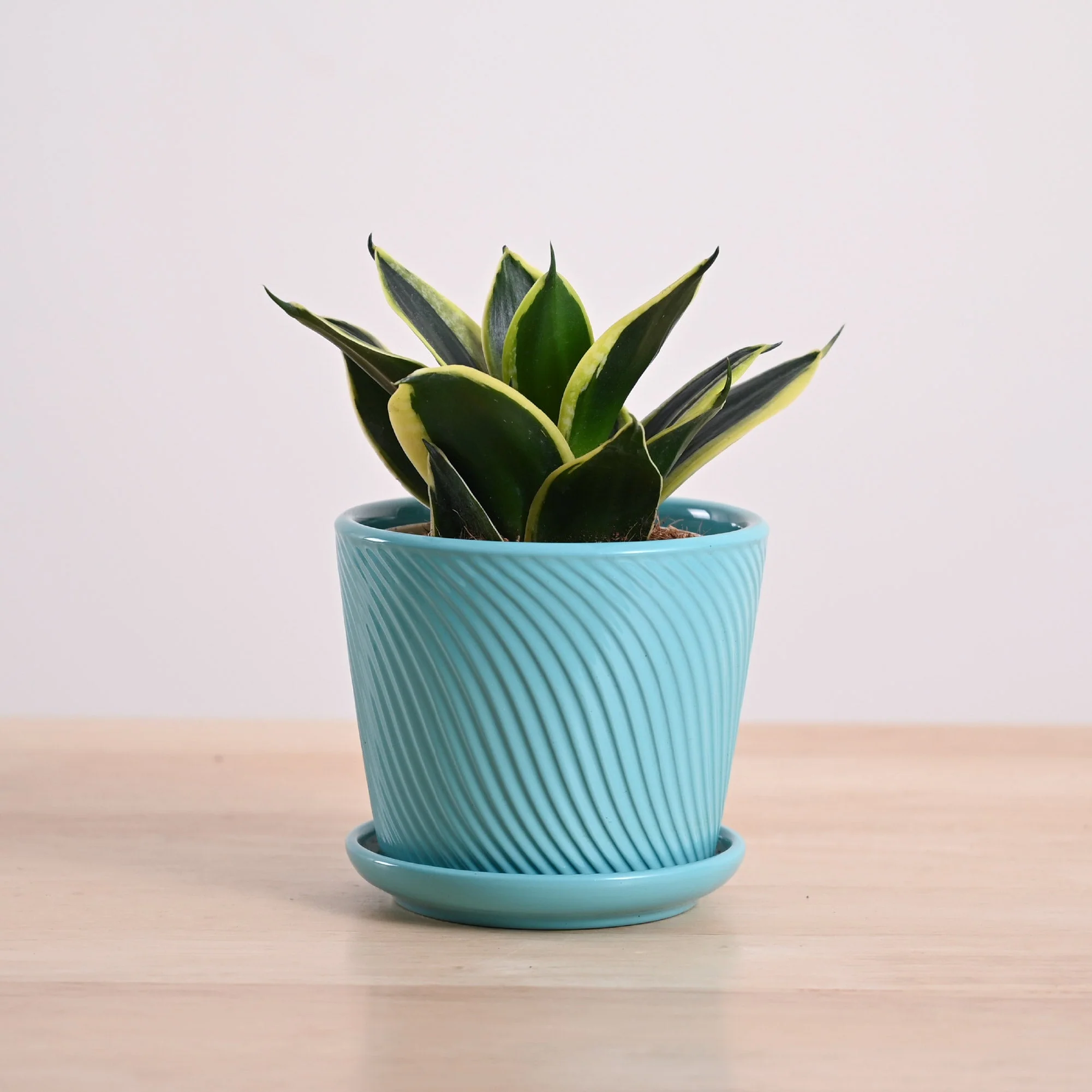 Product image 99