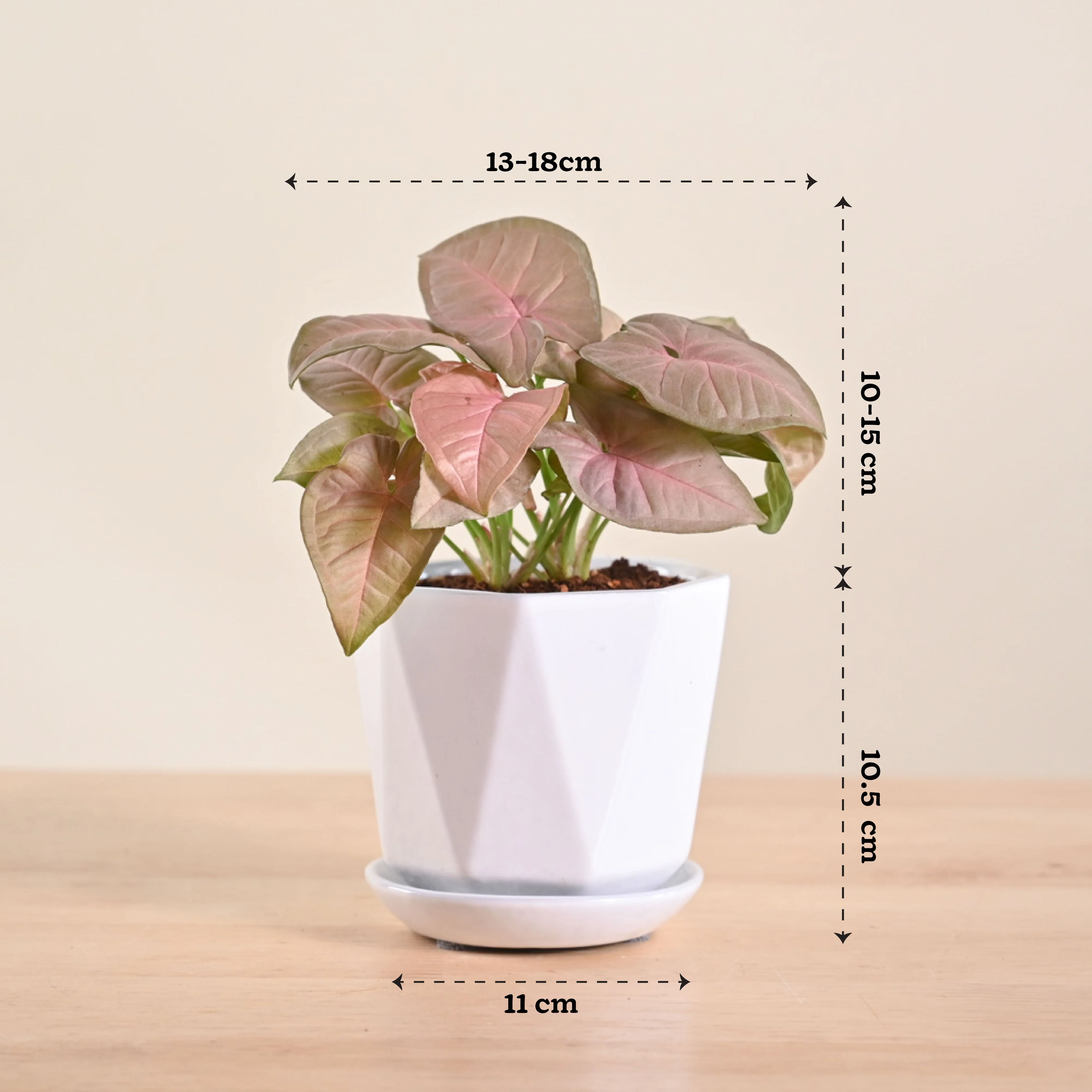 Product image 117