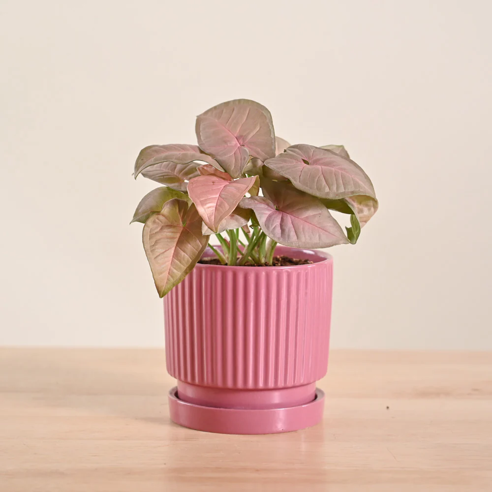 Product image 130