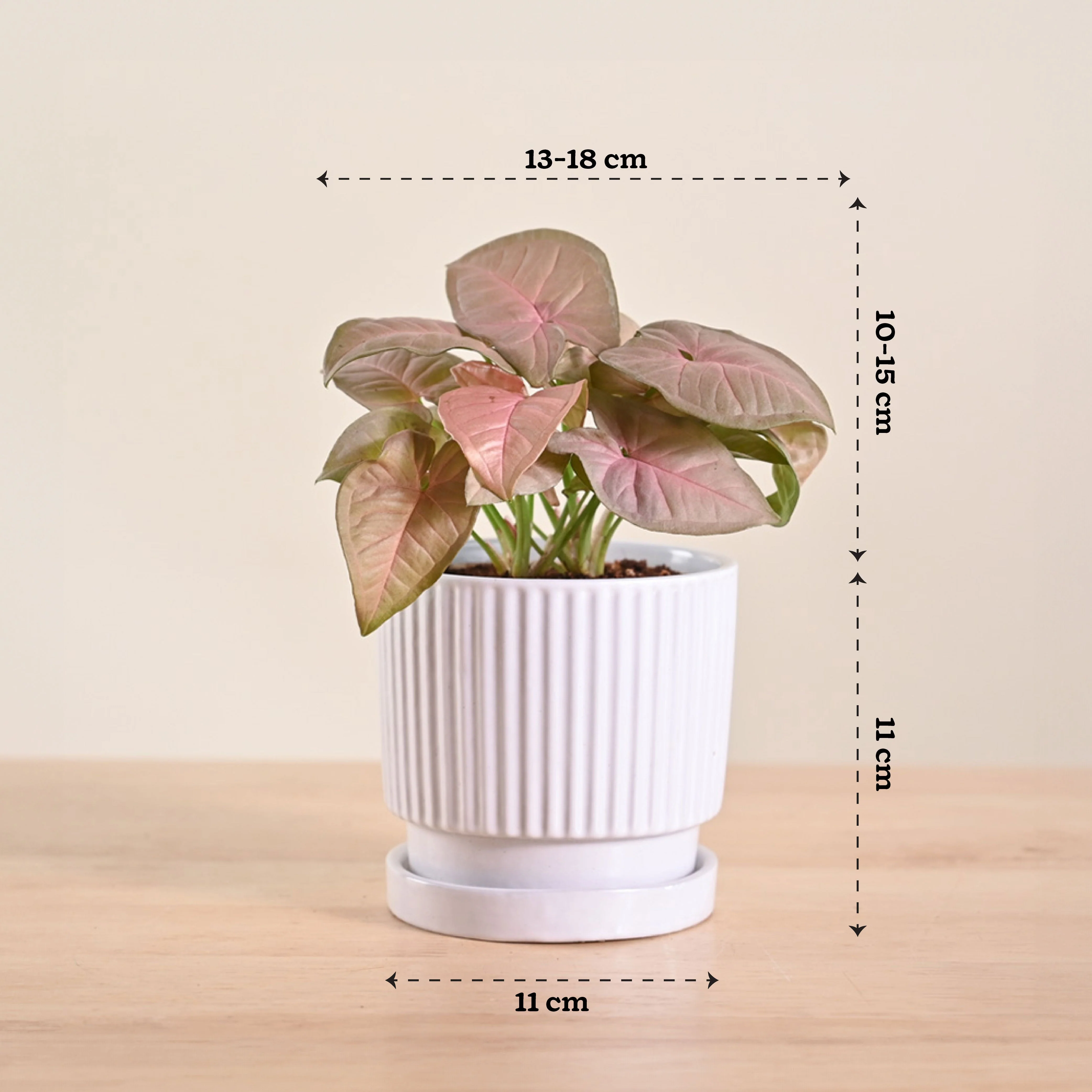 Product image 133