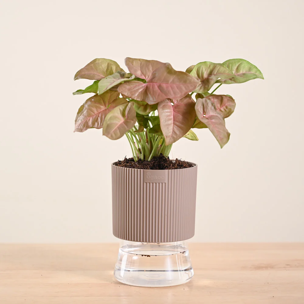Product image 138