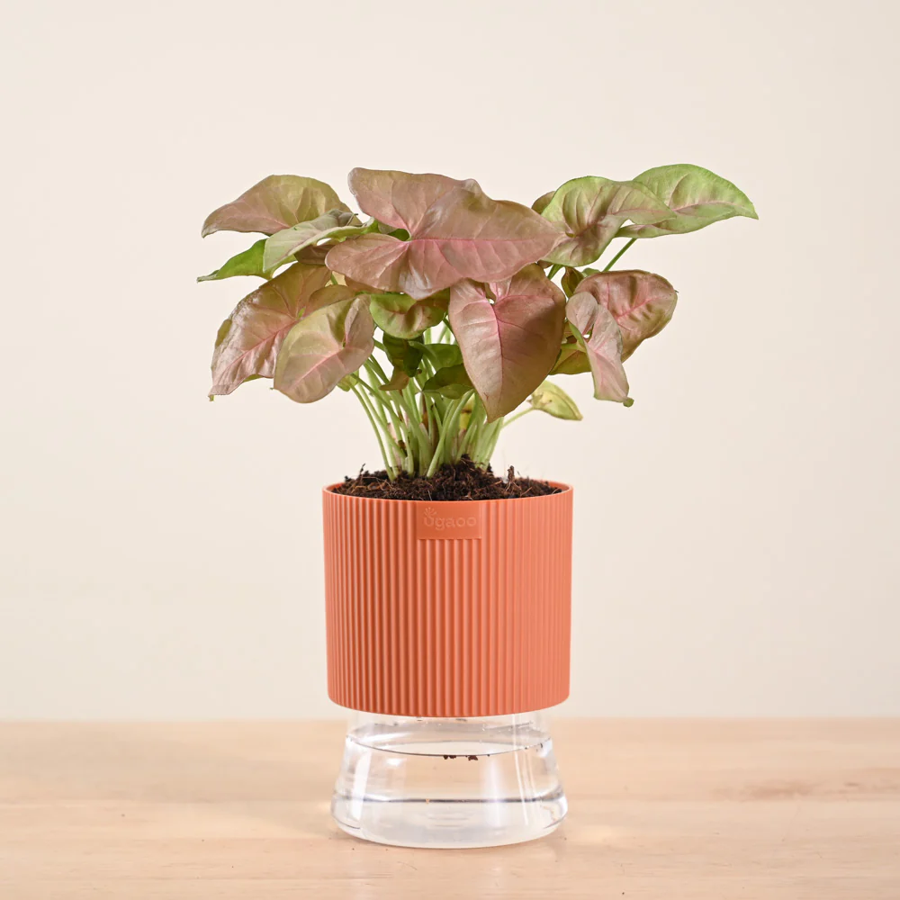 Product image 140