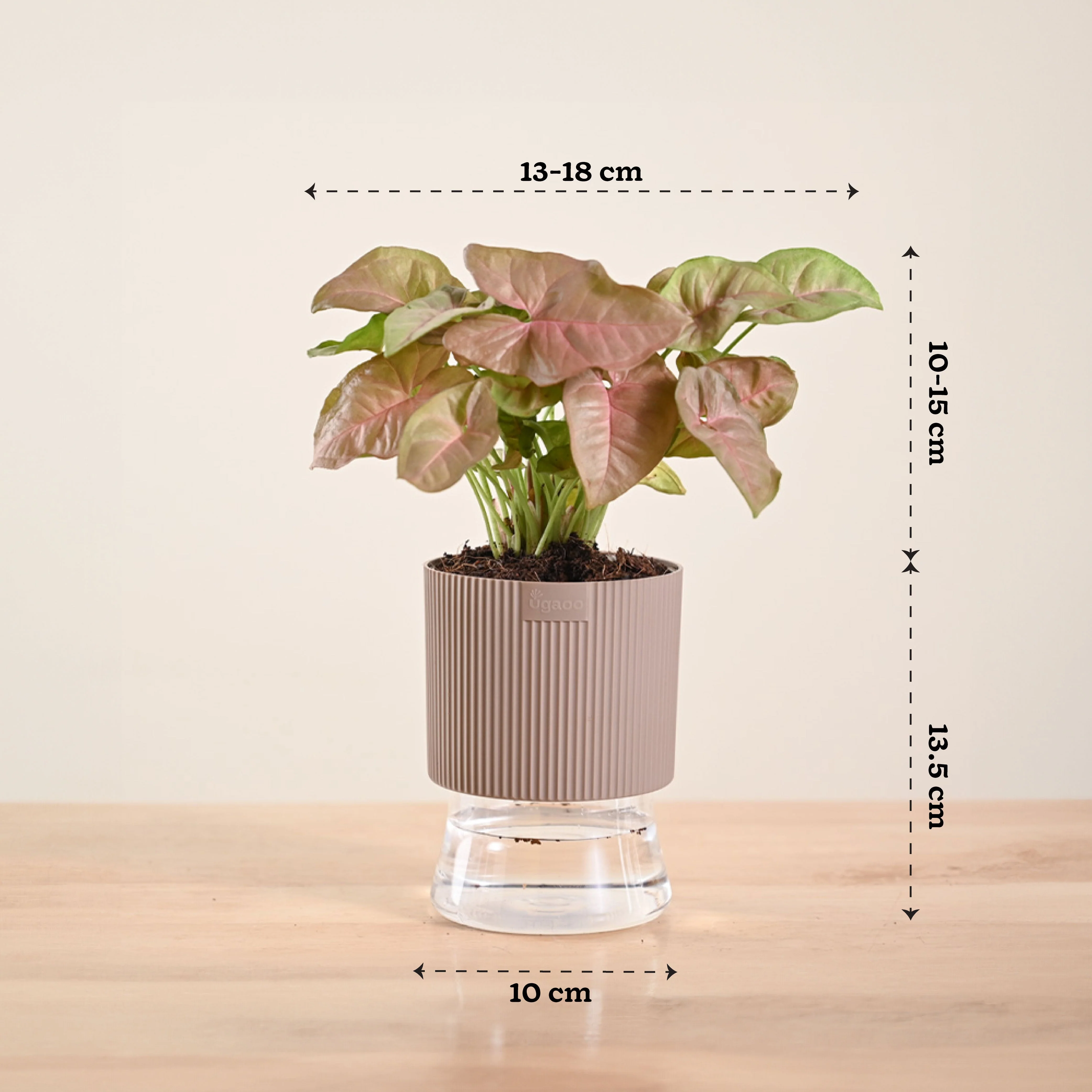 Product image 141