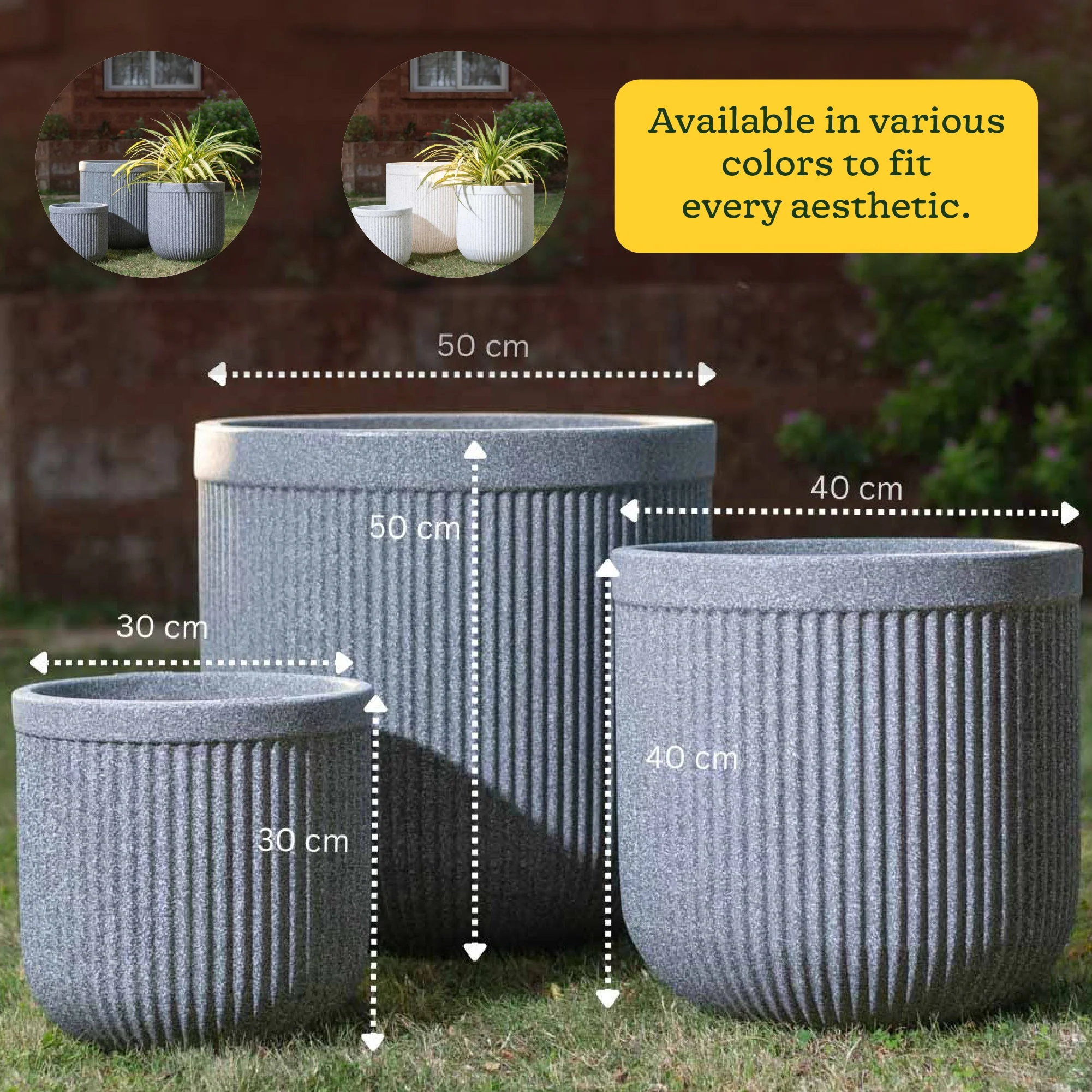 Product image 81